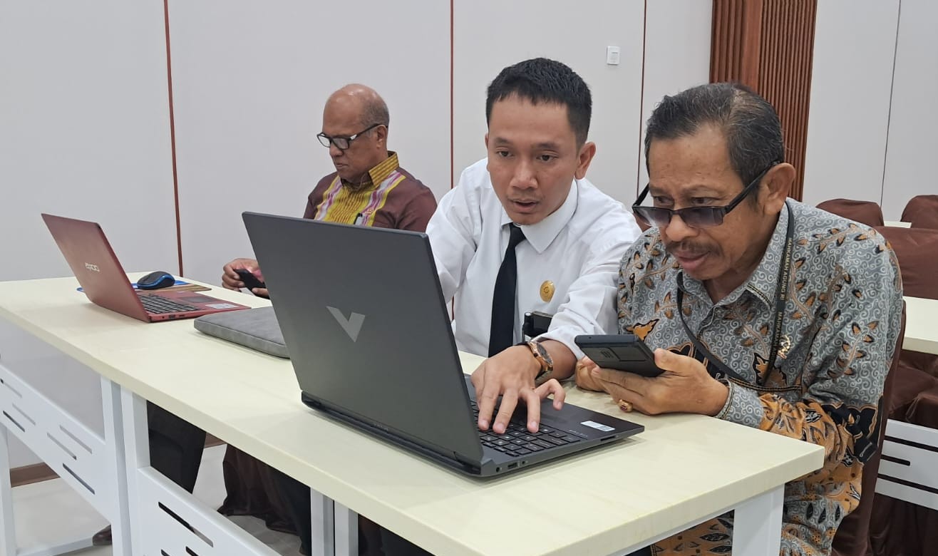 width:100%; height:auto